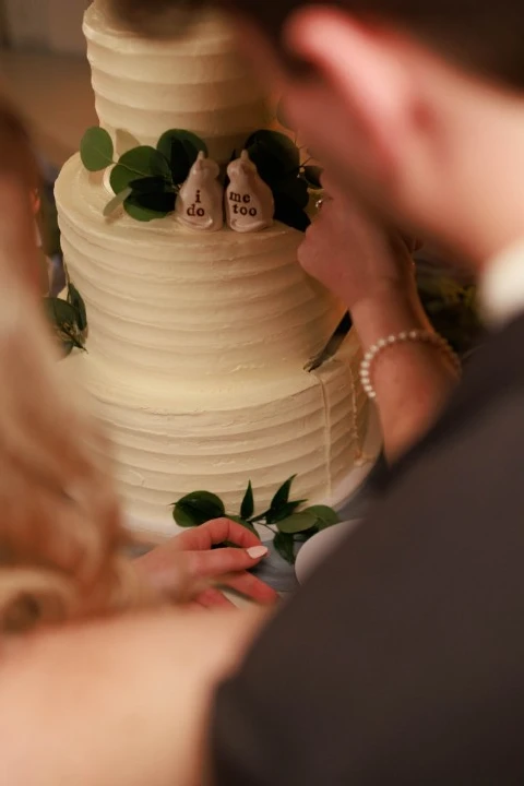 Southern Luxury Cakes 