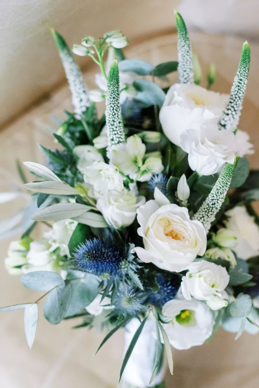 A Snowy Elopement for Stacie and Jimmy