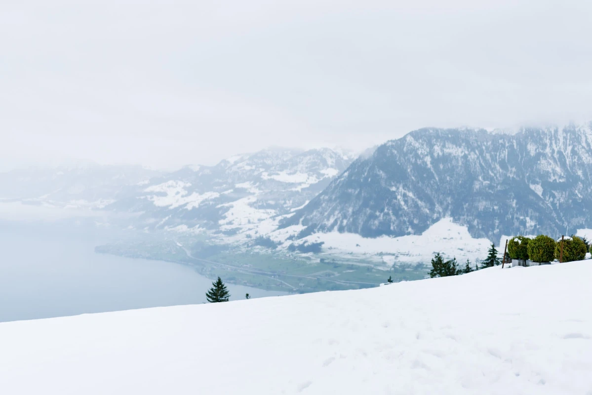 A Snowy Elopement for Stacie and Jimmy