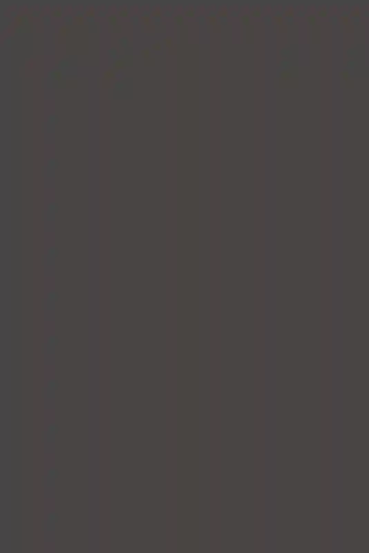 A Colorful Wedding for Stella and Brett