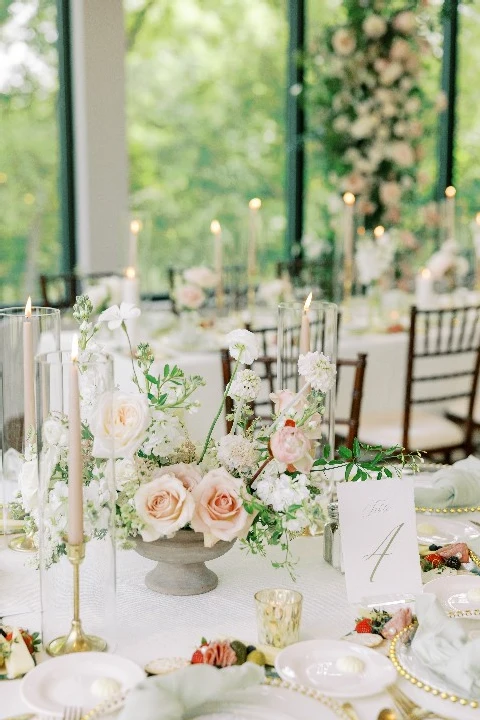Stellaluna Events