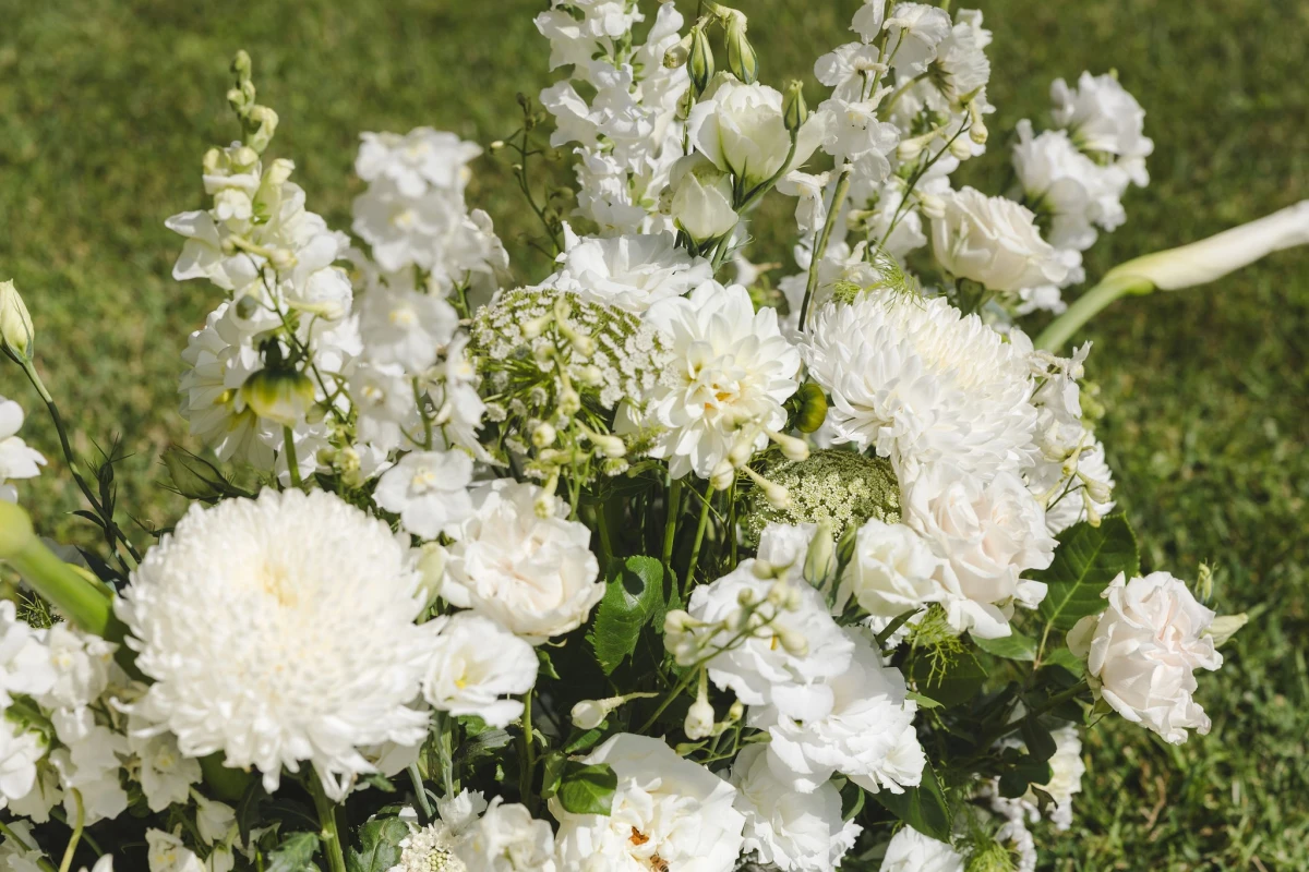 An Intimate Wedding for Stephanie and Jake