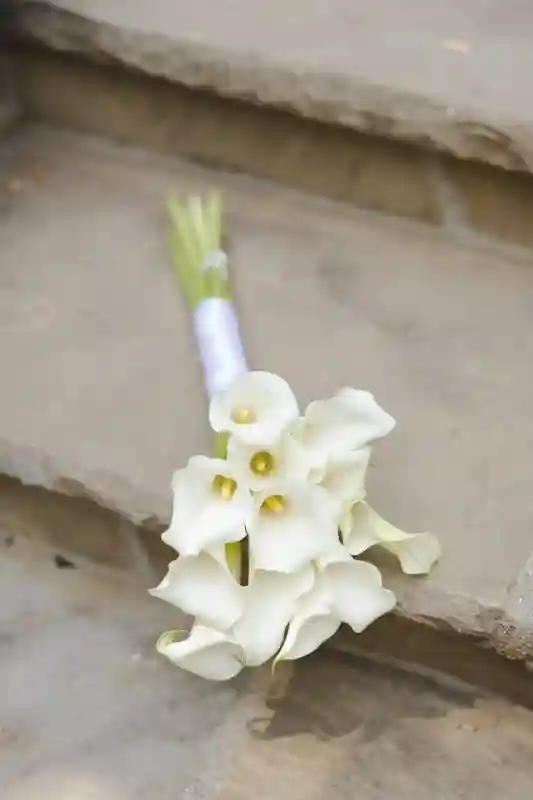 An Intimate Wedding for Stephanie and Jake