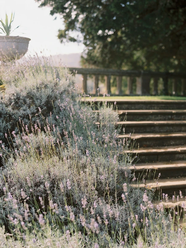 A Garden Editorial for Layla and Chris