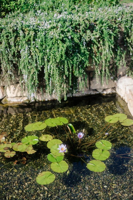 A Garden Wedding for Summer and Hunter