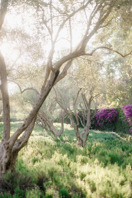 A Garden Wedding for Summer and Hunter