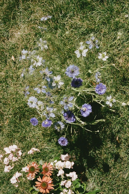 A Garden Wedding for Susan and Simon