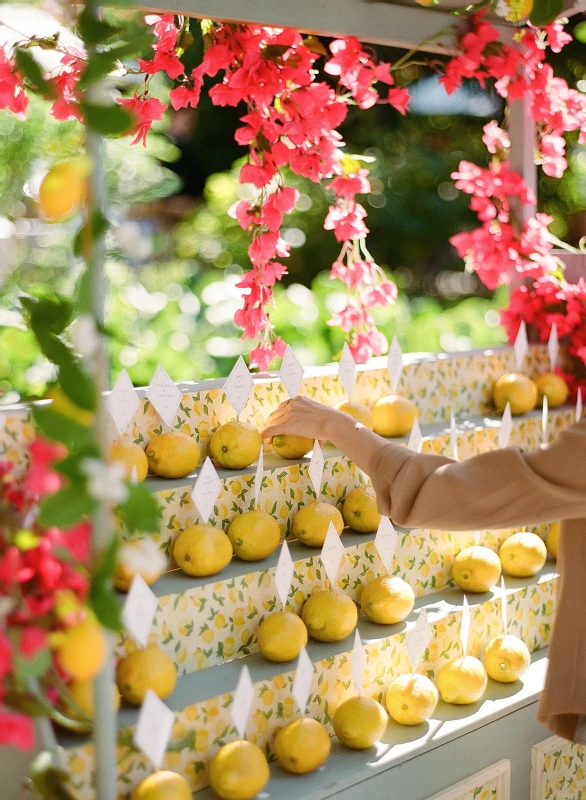 A Garden Wedding for Susan and Simon