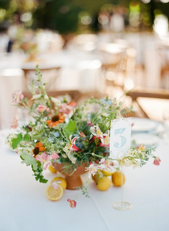 A Garden Wedding for Susan and Simon