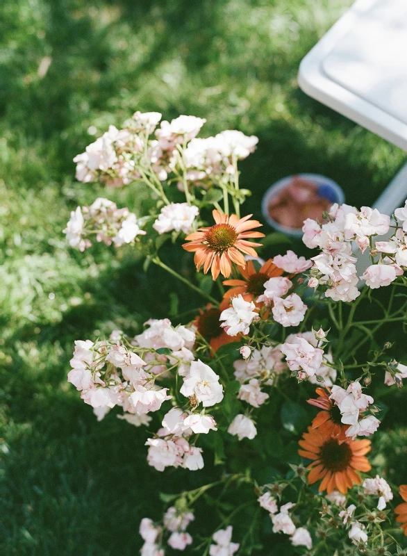 A Garden Wedding for Susan and Simon