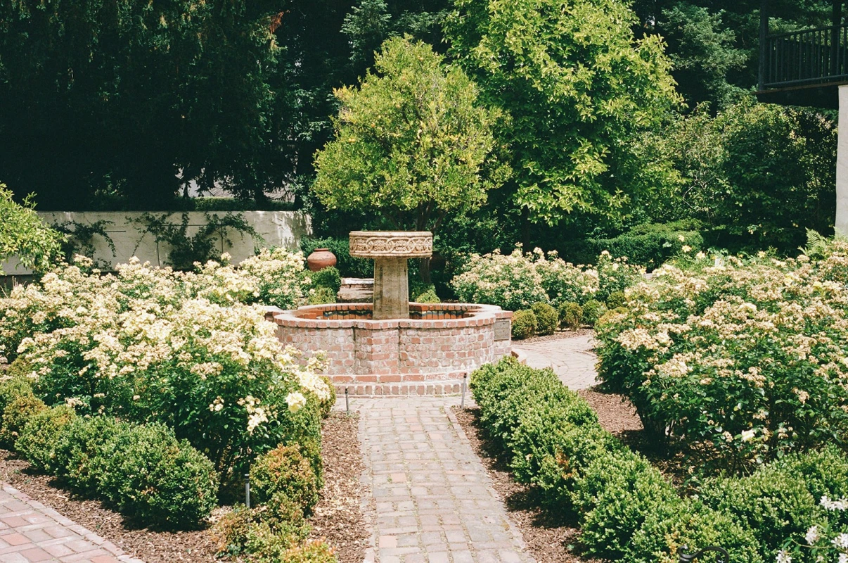 A Garden Wedding for Susan and Simon