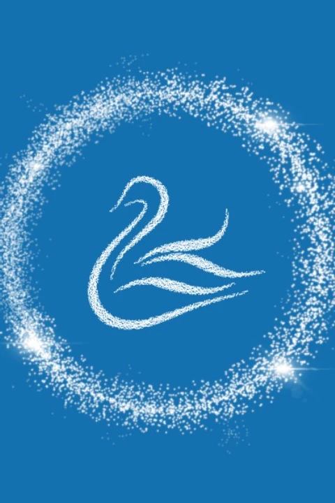 Swan Light Productions