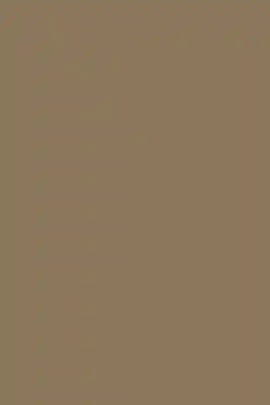 A Forest Wedding for Sydney and Samson