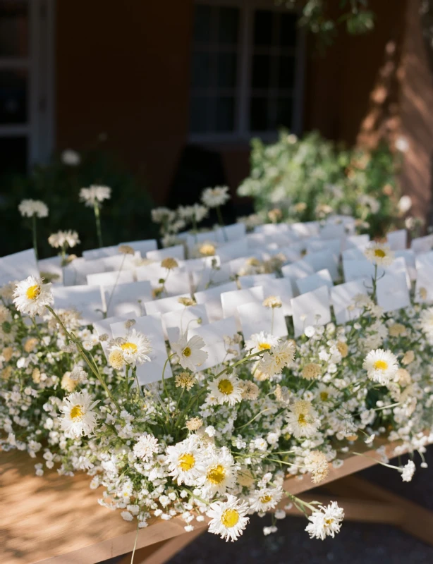 An Outdoor Wedding for sylvia and Brian