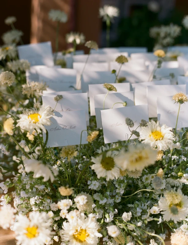 An Outdoor Wedding for sylvia and Brian