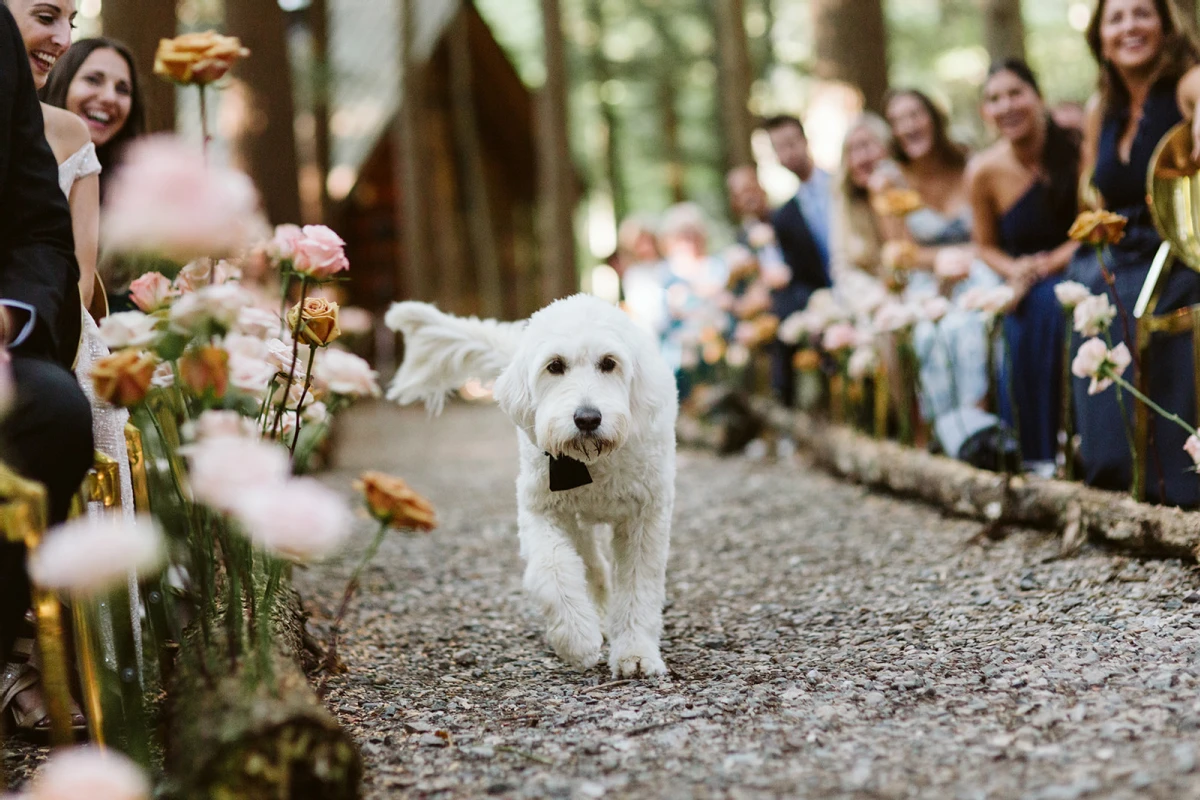 A Glam Wedding for Taylor and Jeff