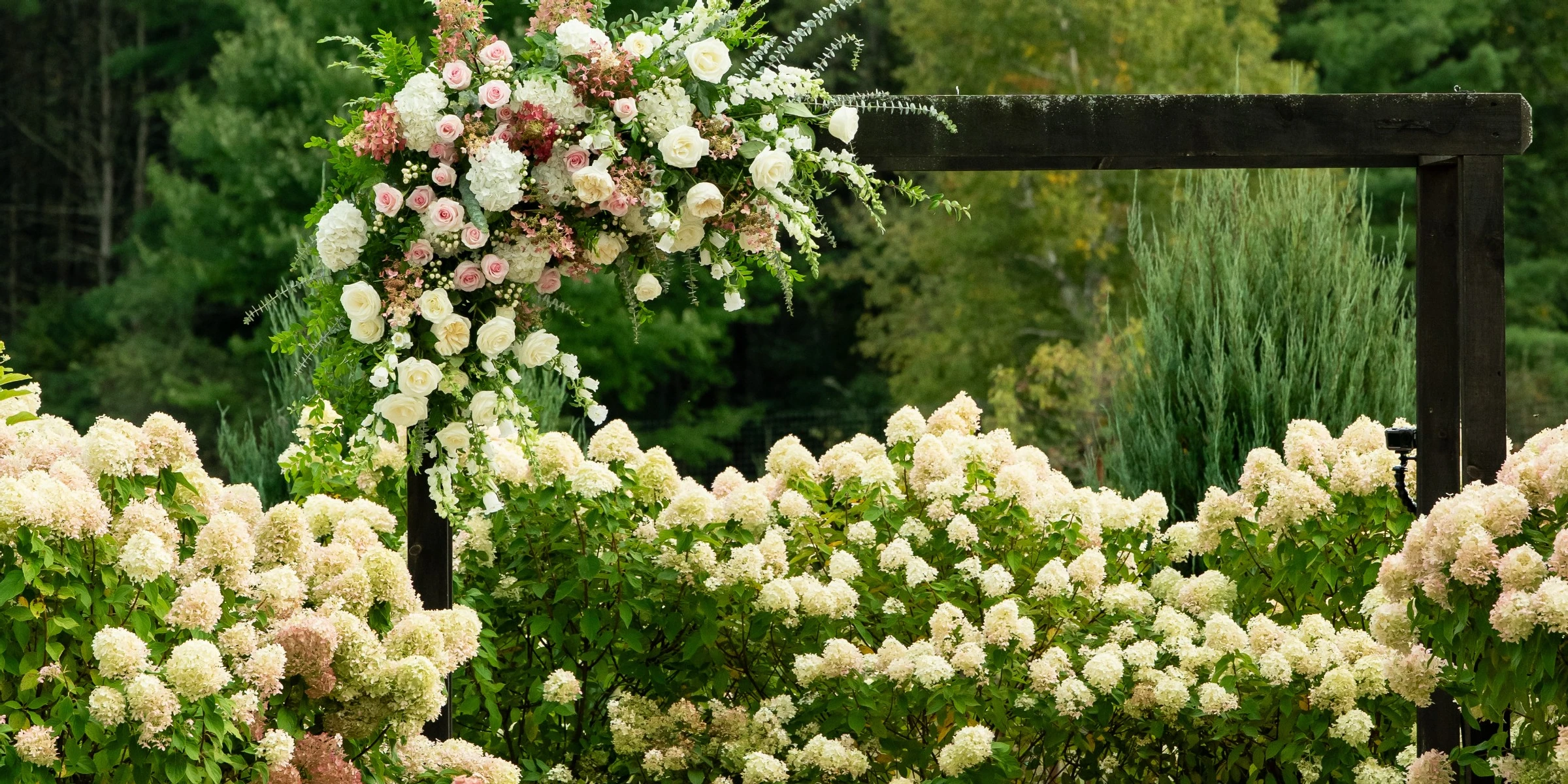 The Promise Gardens of the Adirondacks