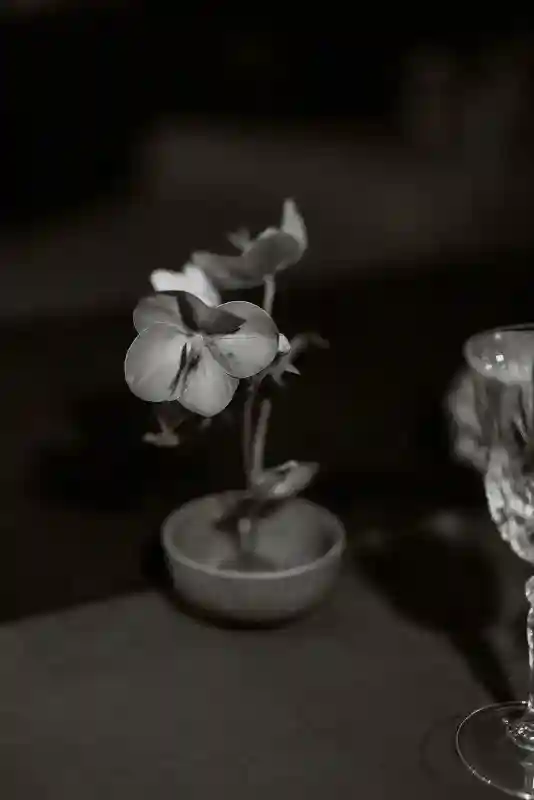 A Whimsical Wedding for Toni and Leighton