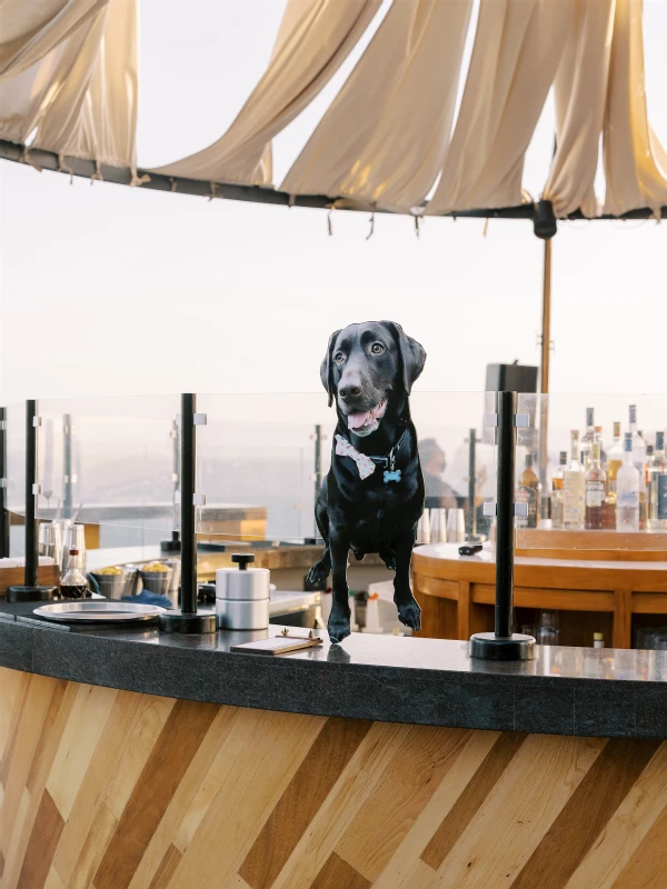 A Waterfront Wedding for Tymorie and Elias