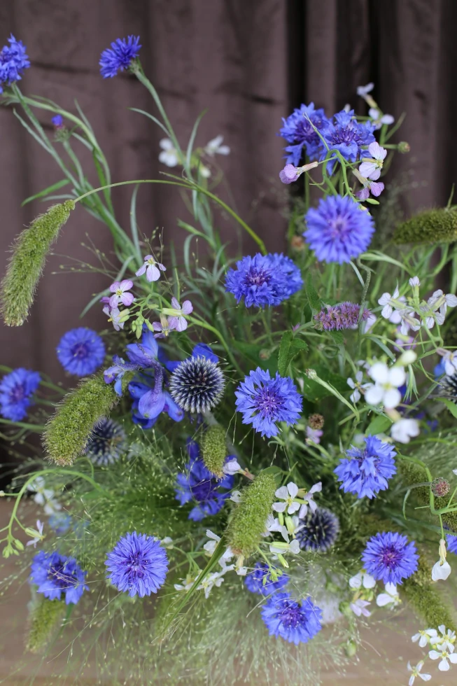 Ultraviolet Flower Co.