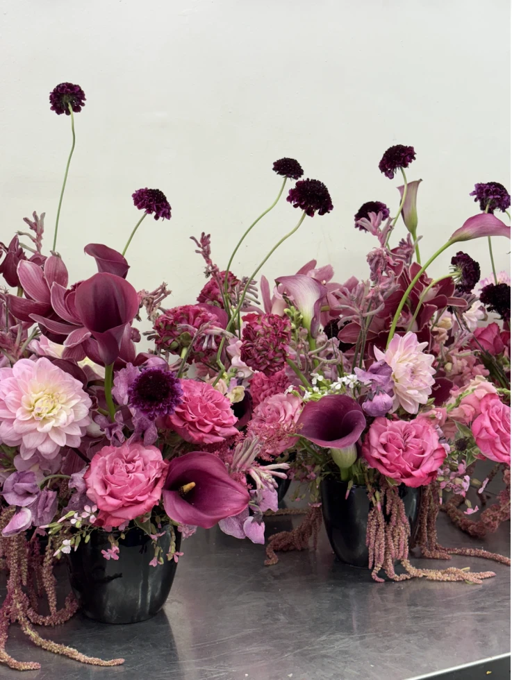 Ultraviolet Flower Co.