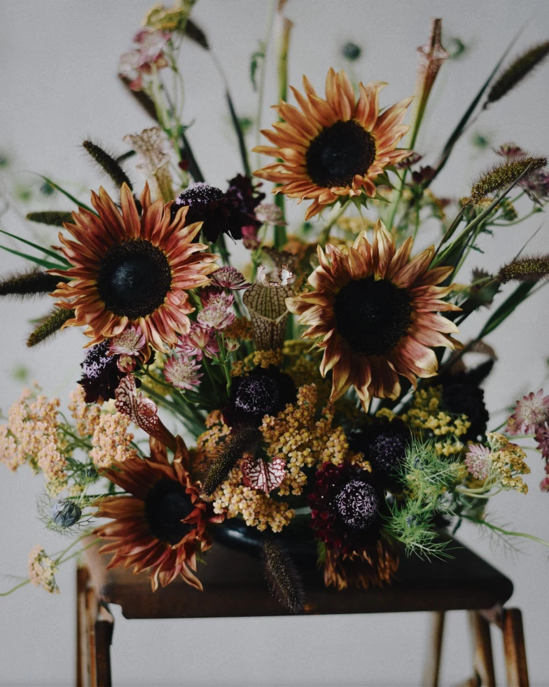 Ultraviolet Flower Co.