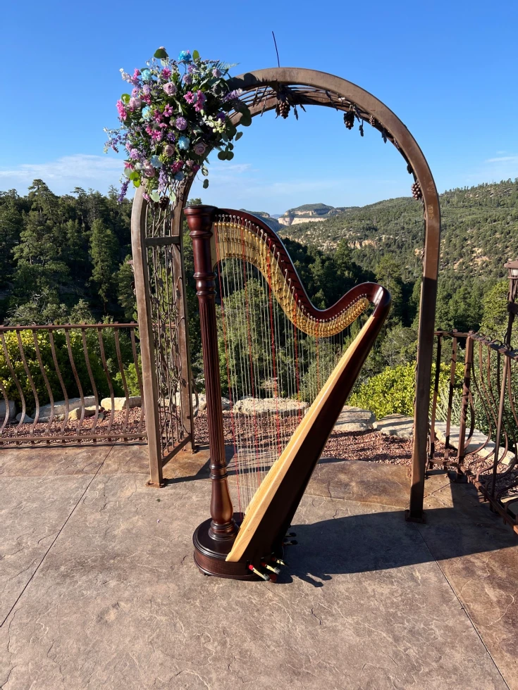 Merinda Starnes, Utah Harpist