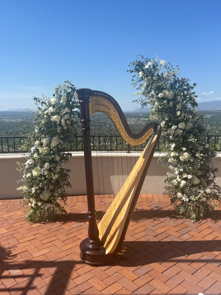 Merinda Starnes, Utah Harpist