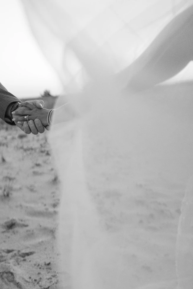 Vanessa Falcone Photography