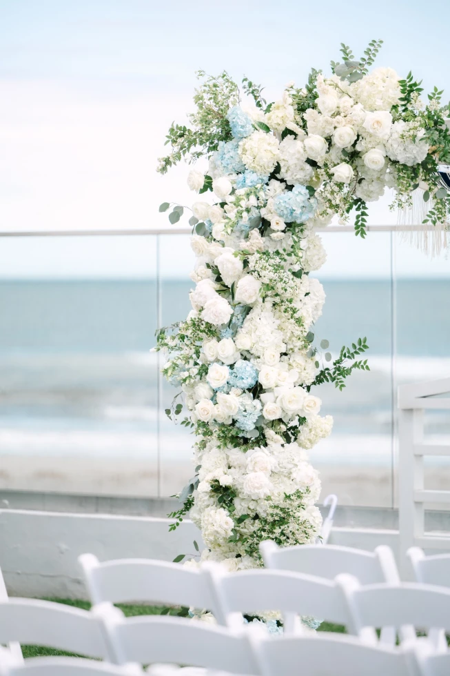 Vanessa Falcone Photography