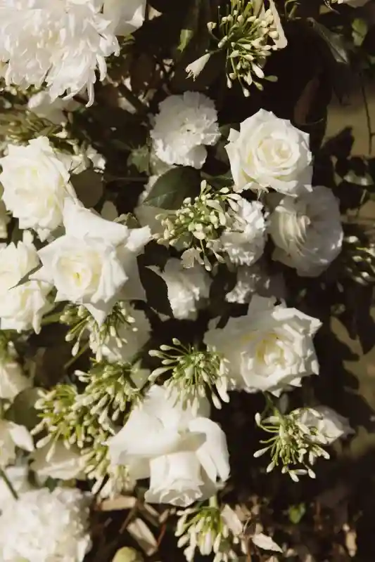 A Classic Wedding for Vanessa and Ryan