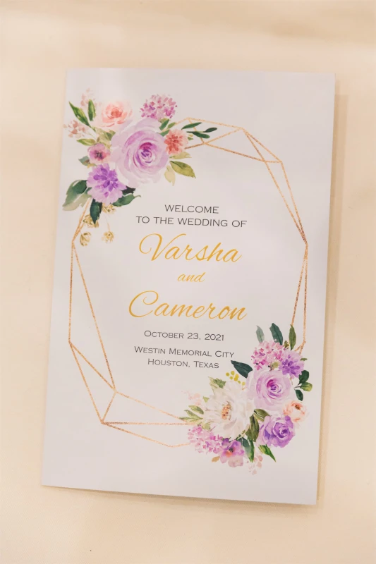 A Wedding Sangeet for Varsha and Cameron