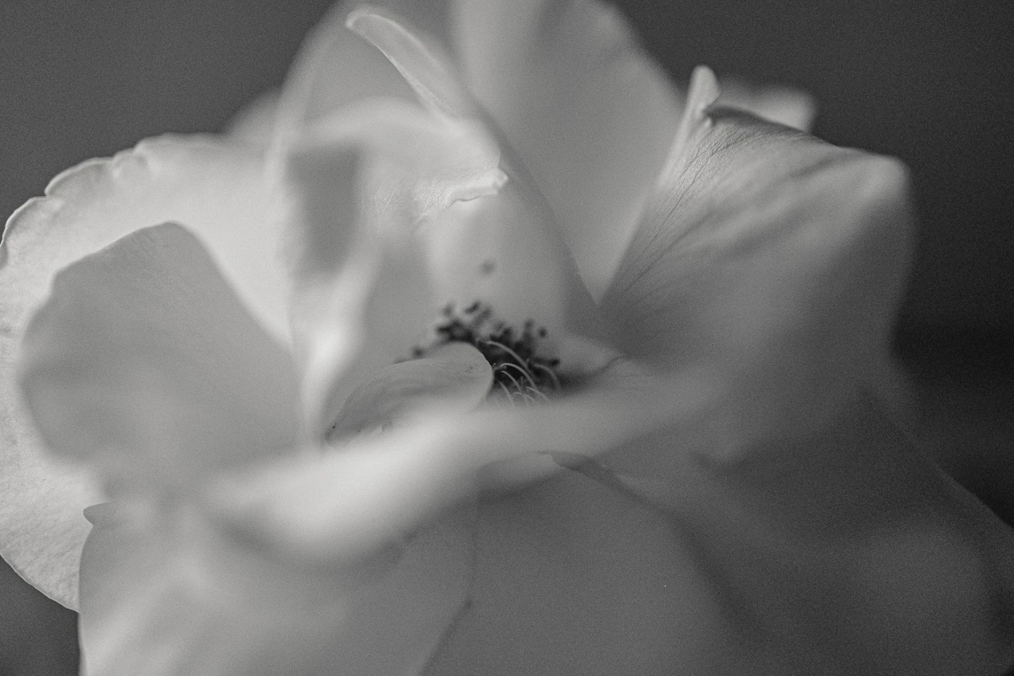 Vins Massaro Editorial Photographer