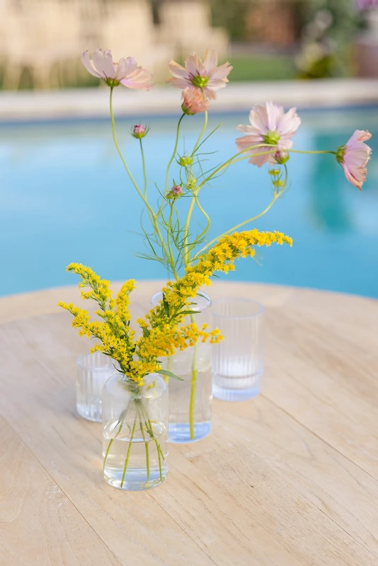 A Colorful Wedding for Virginia and Max