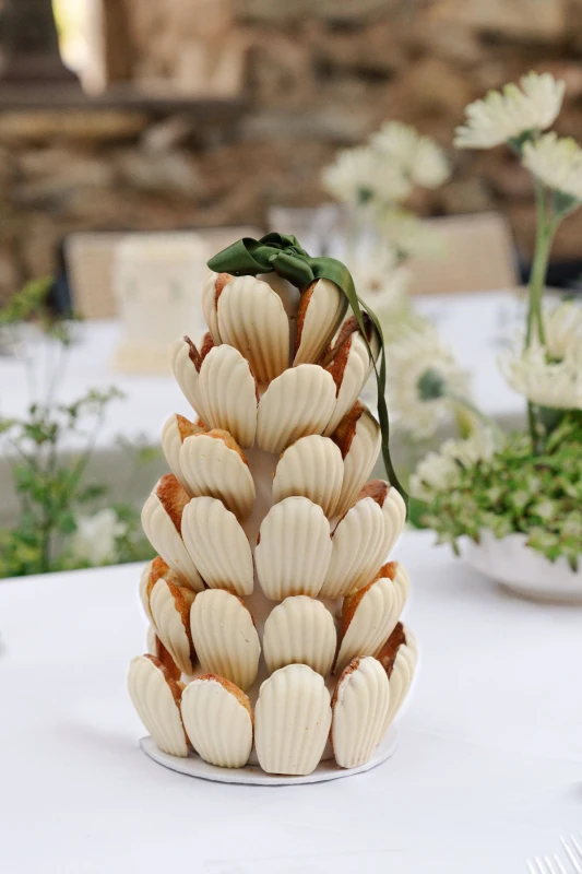 A Garden Editorial for Vivianne and Yannick