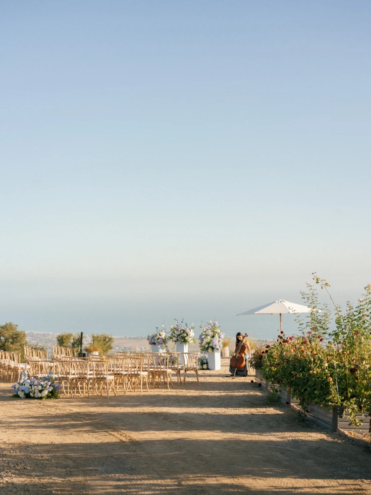 Wanderment Farms