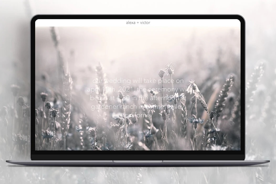Wedding Website Examples: A desktop display of a wedding website homepage showing a meadow.
