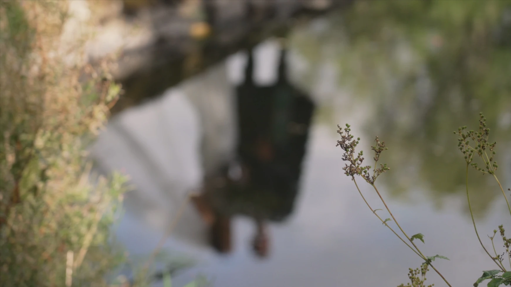 White Feather Filmmaker