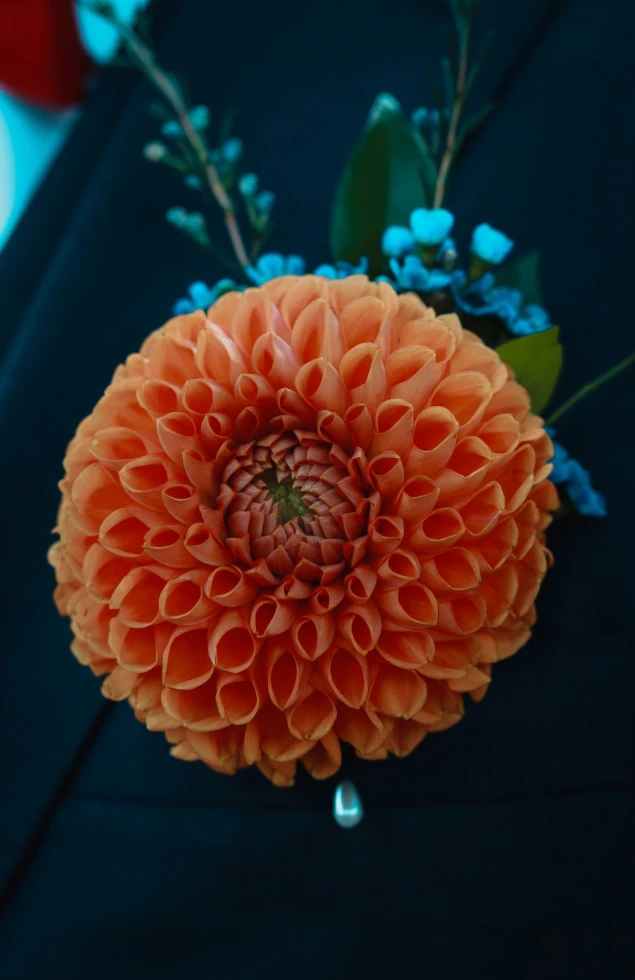 White Fox Floral Design