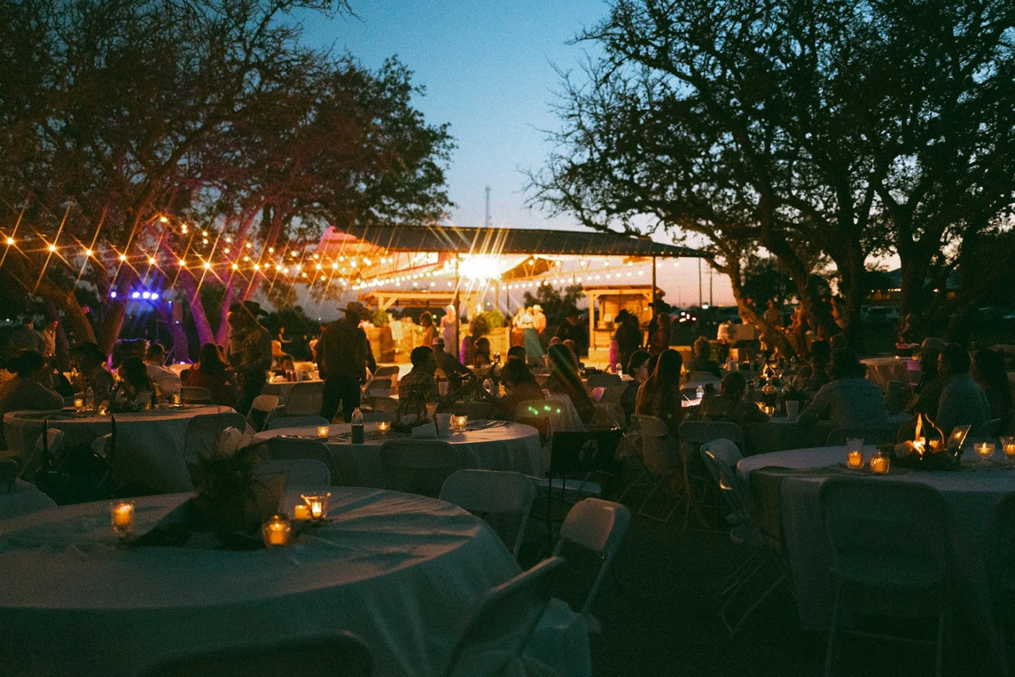 Wild Rose Creative Co.