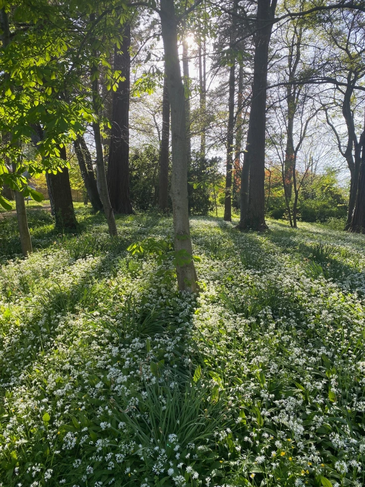 Woodhill Park Estate 