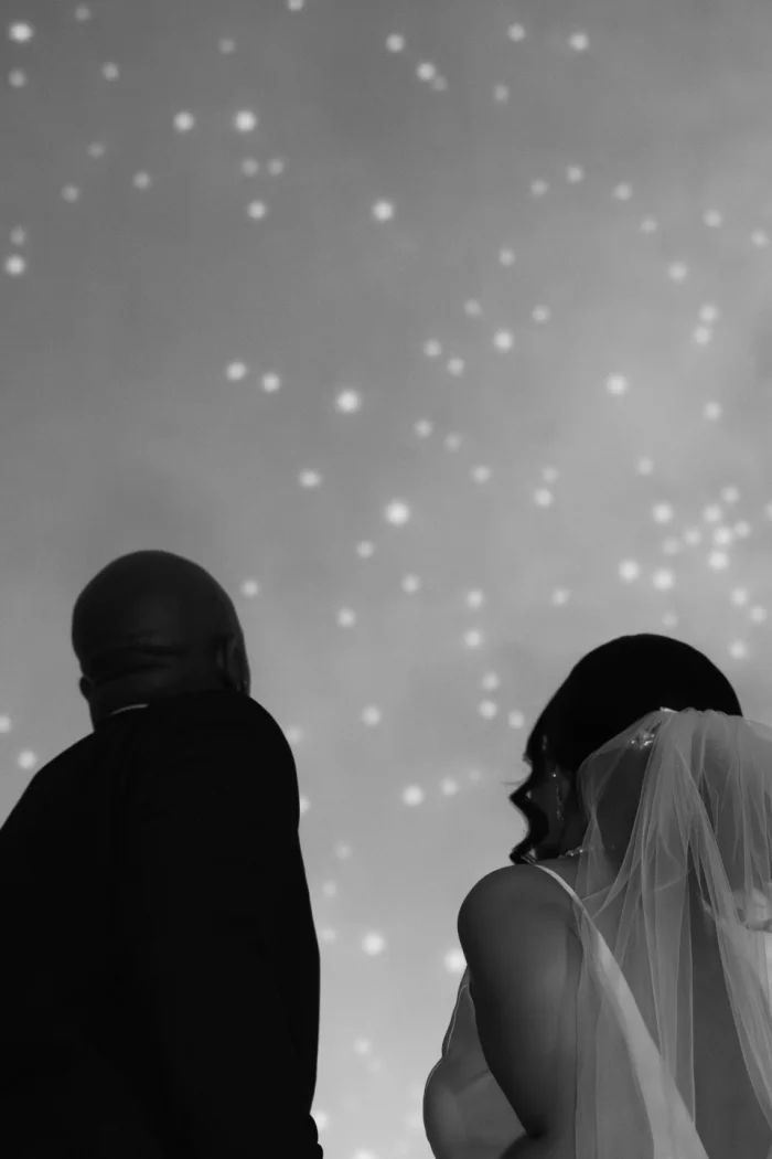 Wish Upon a Wedding: An Introduction