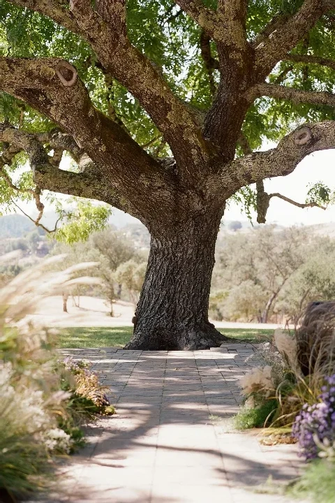 A Ranch Wedding for Yoana and Dylan